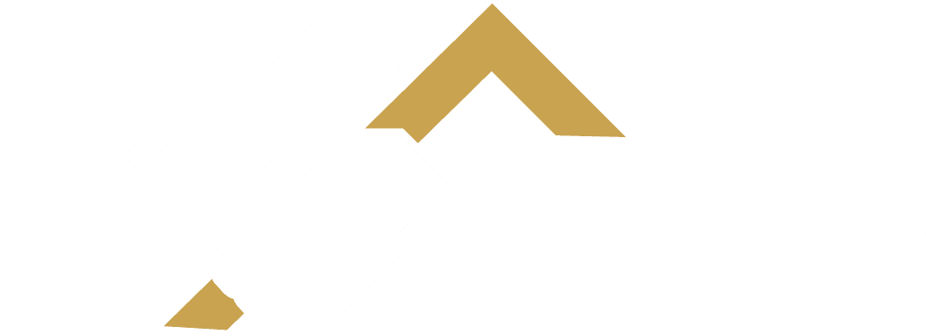 PromiseHoldings Logo
